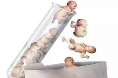 关于暖阳生殖